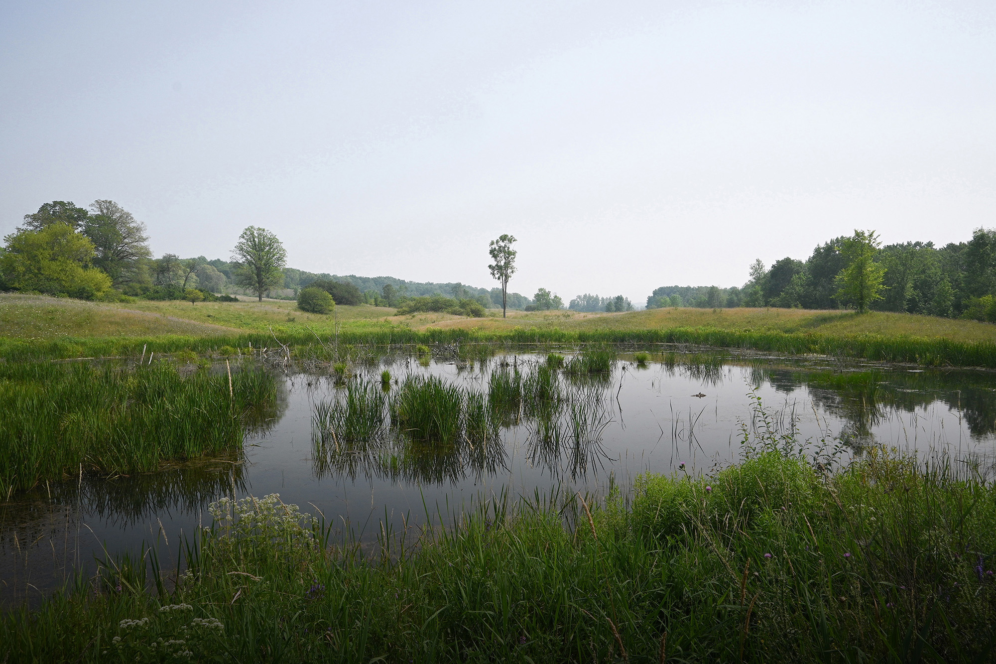 Farm0107